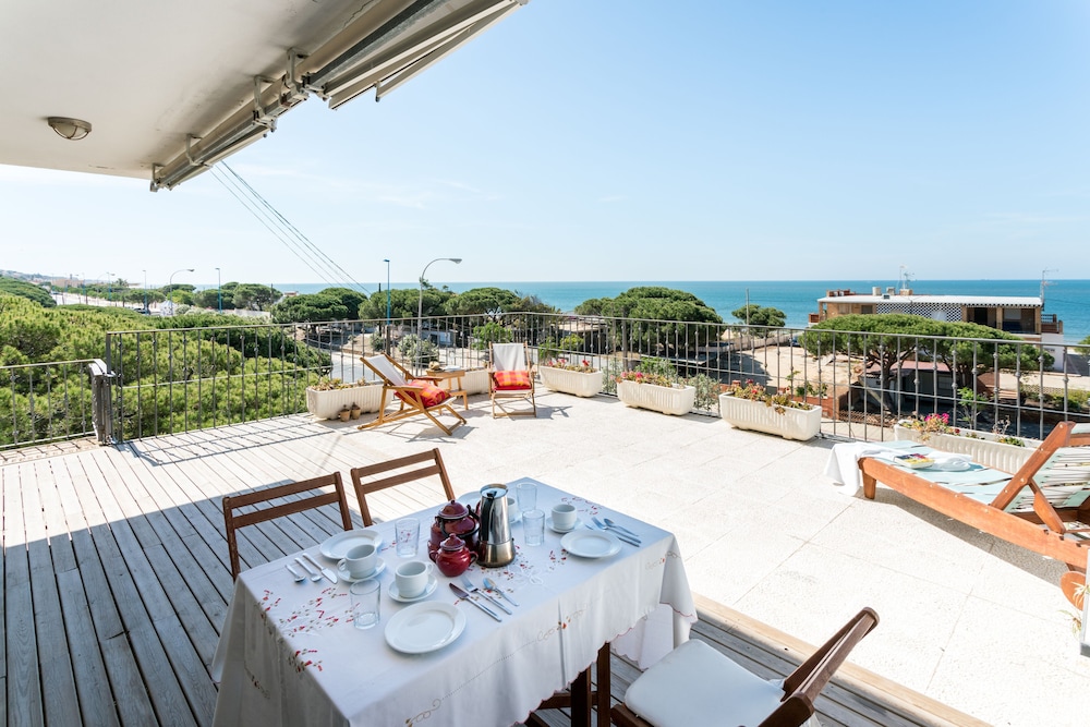 palos de la frontera