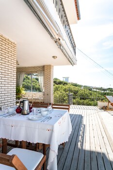 palos de la frontera