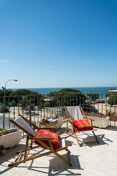 palos de la frontera