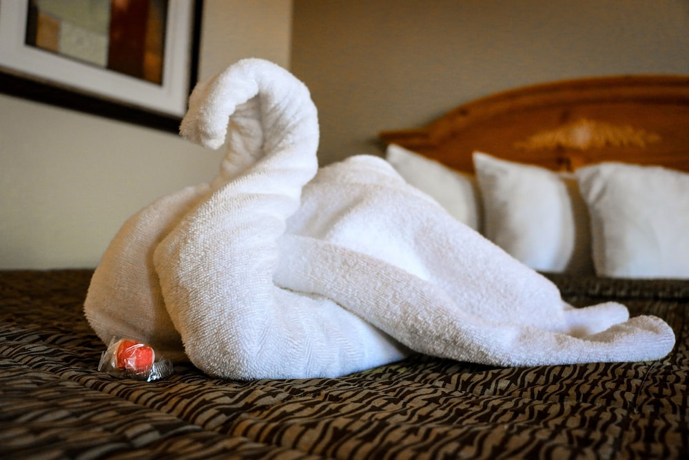suite dreams hotel