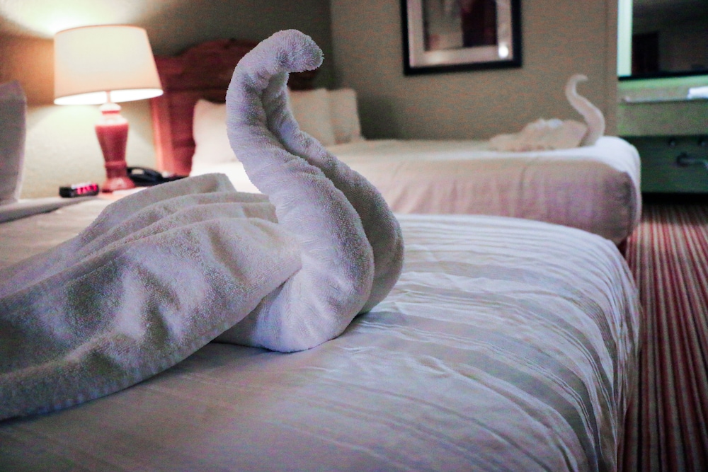 suite dreams hotel