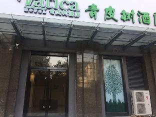 vatica xingtai qiaoxi district yongkang street