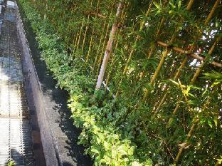 president hotel guangzhou changlong