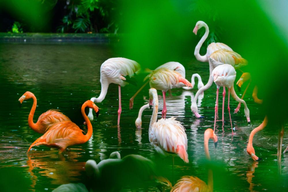 james joyce coffetel tianhebei