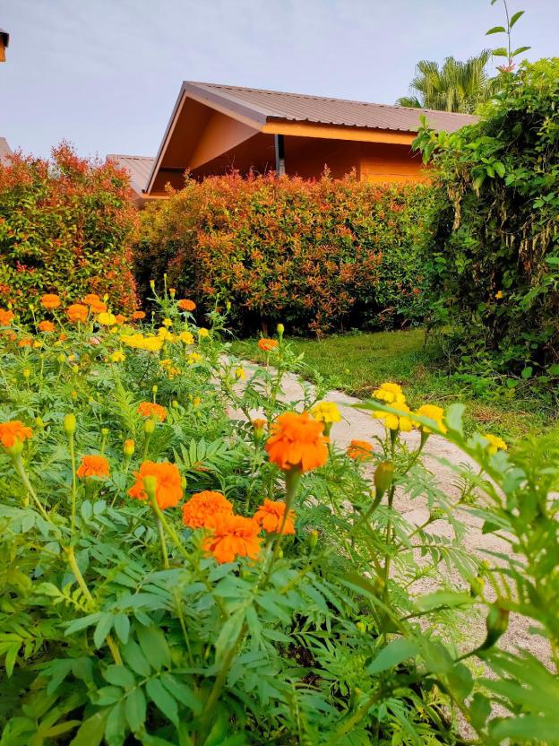 jit dee home khao kho