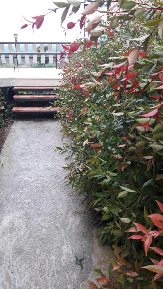 jit dee home khao kho