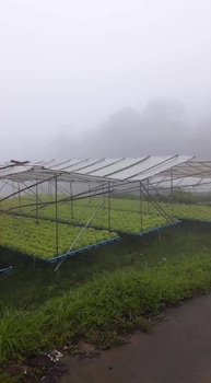 jit dee home khao kho