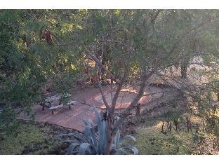 livingstone guest farm