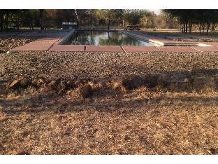 livingstone guest farm