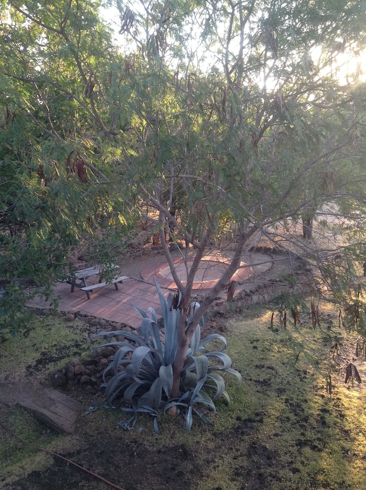 livingstone guest farm