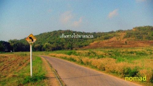 nomad resort adult only