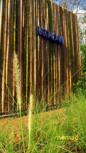 nomad resort adult only