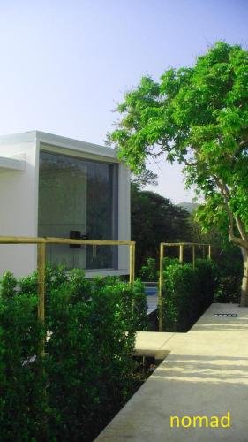 nomad resort adult only