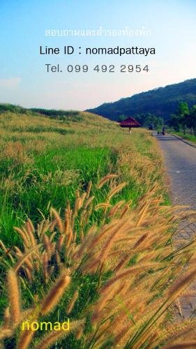 nomad resort adult only