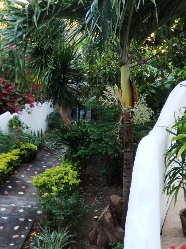 aquarius terraces boutique resort