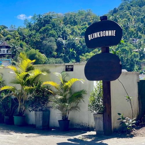 blinkbonnie inn
