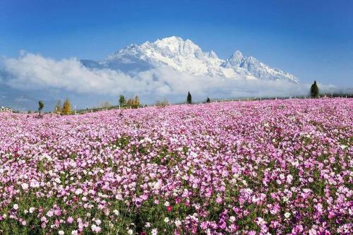 7days inn old town of lijiang the grand water wheel