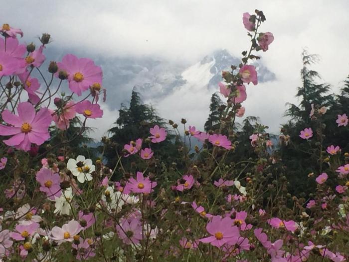 7days inn old town of lijiang the grand water wheel