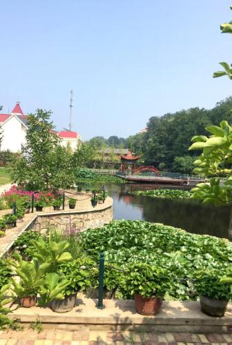 7 days premium beidaihe geziwo park