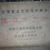 7days inn neijiang longchang xinhua street branch