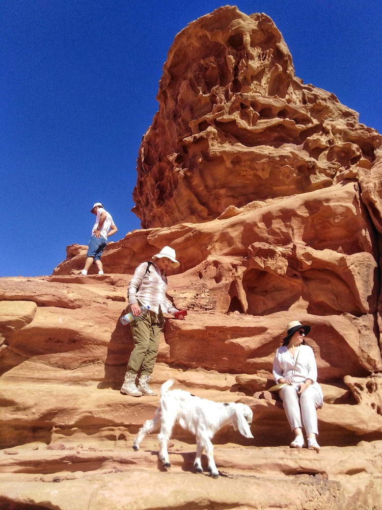 wadi rum bedouin bandb malakot