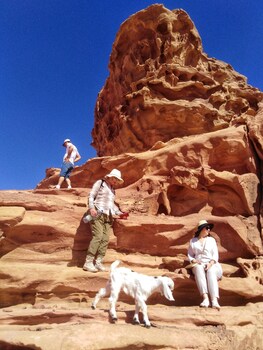 wadi rum bedouin bandb malakot