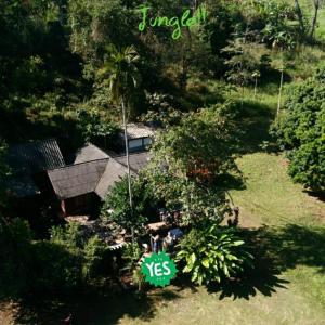 jungle guest house