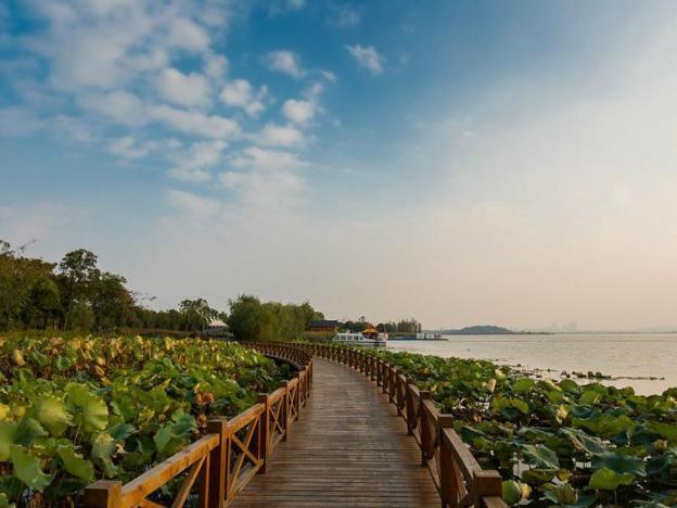 lavande hotels wuhan caidiao changfu business center