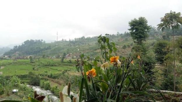 villa penginapan purnama