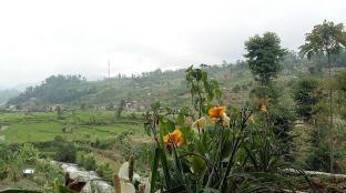 villa penginapan purnama