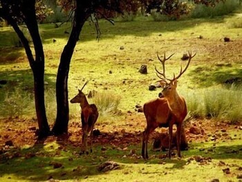 casa rural los parrales