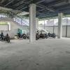 cattail guest house pontianak