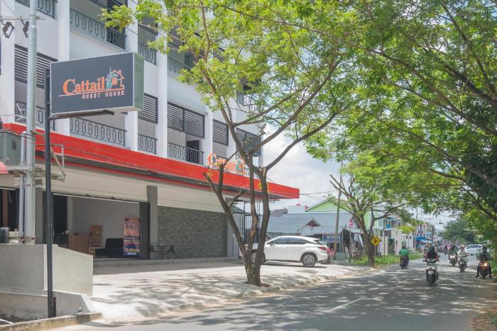 cattail guest house pontianak