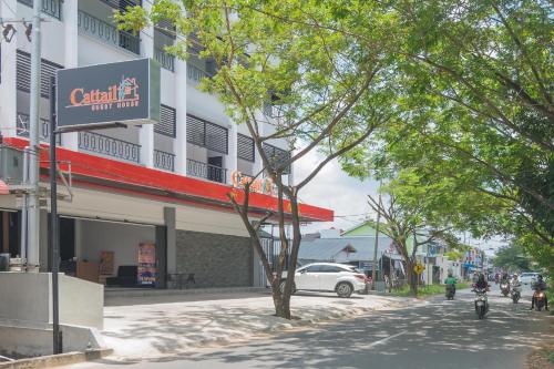 cattail guest house pontianak