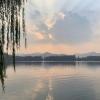 zibo