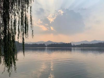 zibo