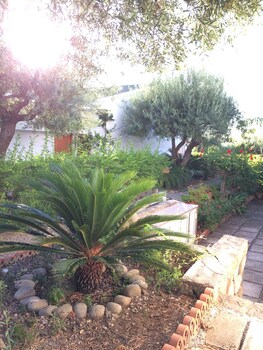 golfo degli ulivi relax