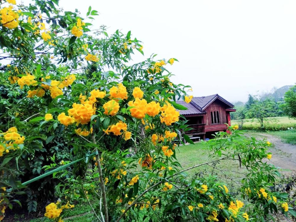 nai khun khao resort