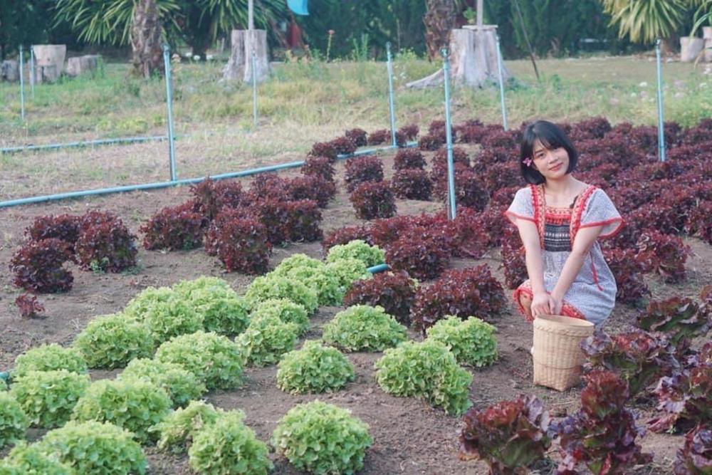 nai khun khao resort