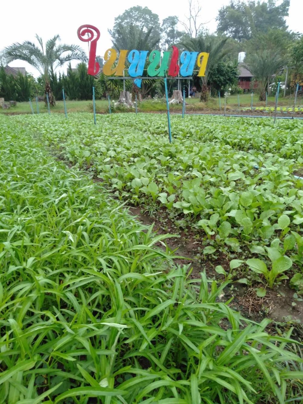 nai khun khao resort