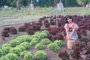 nai khun khao resort