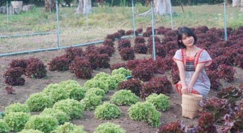 nai khun khao resort