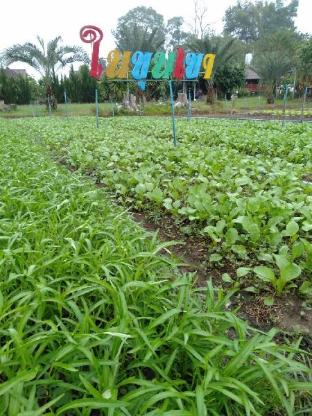 nai khun khao resort