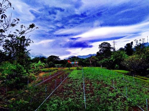 nai khun khao resort