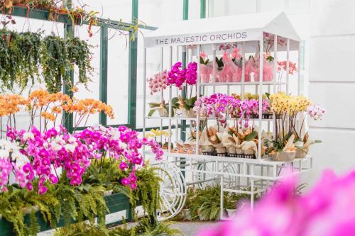 the majestic hotel kuala lumpur autograph collection