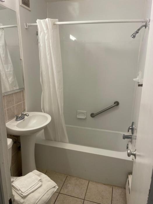 budget host alexandria