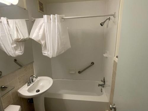 budget host alexandria