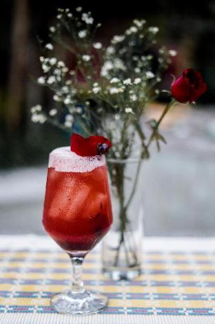 la luna resort yogyakarta