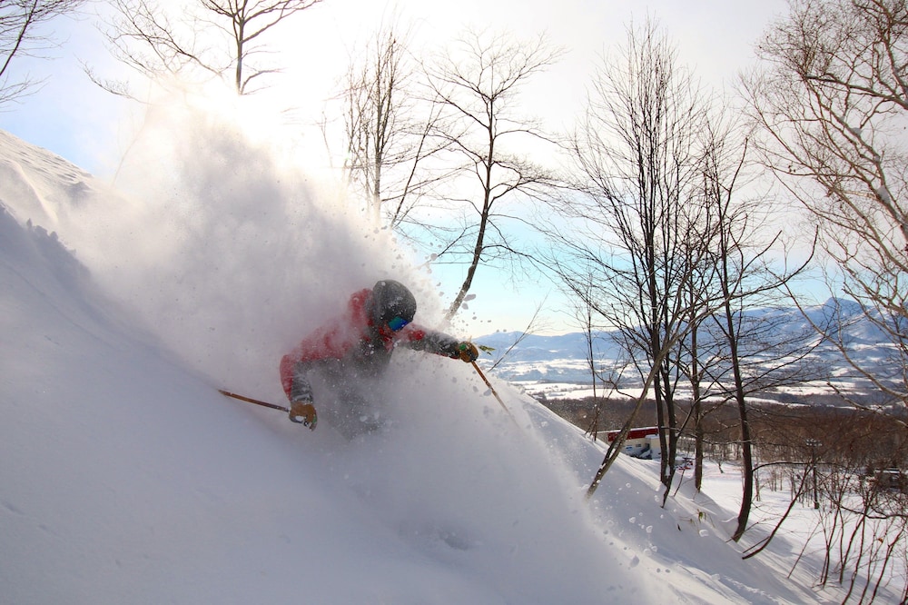 owl house niseko