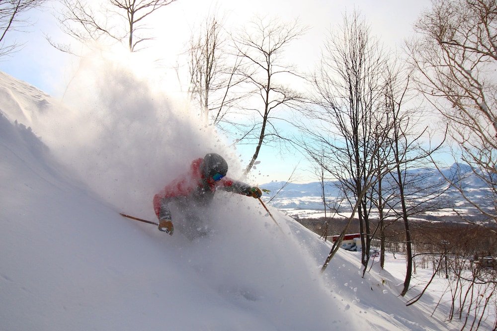 owl house niseko